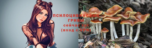 spice Лагань