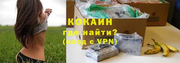 spice Лагань