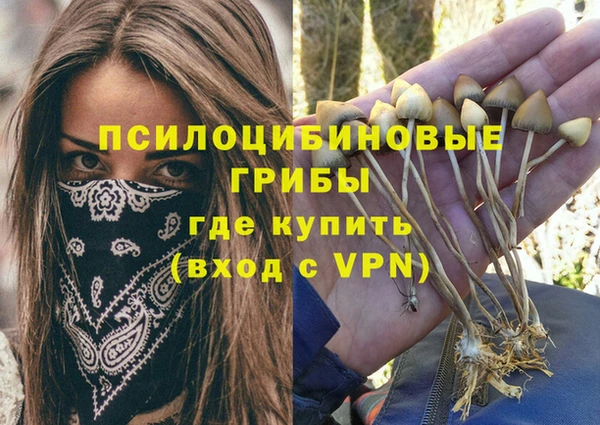 spice Лагань