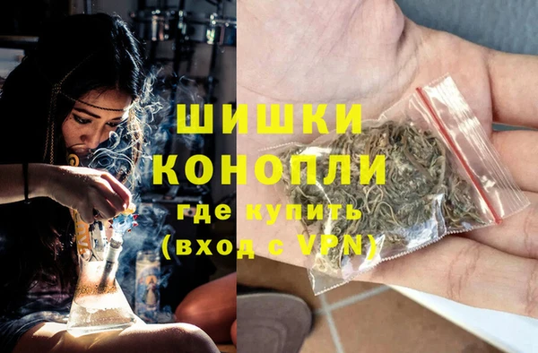 spice Лагань