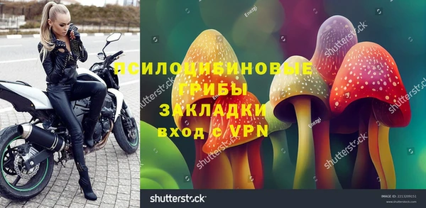 прущие крисы Бердск